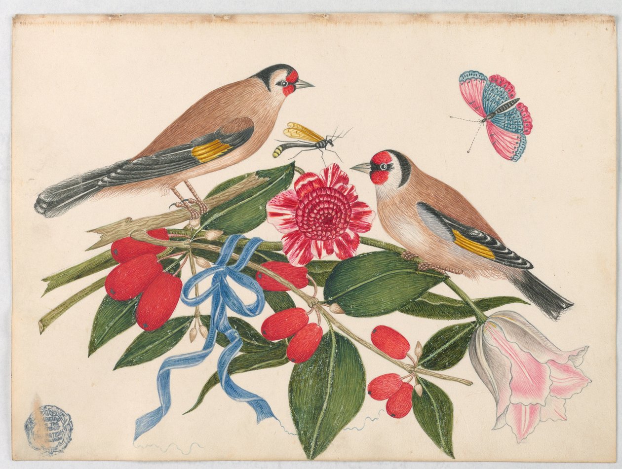 Ett par bruna fåglar med blommor, bär och en fjäril av Unknown artist