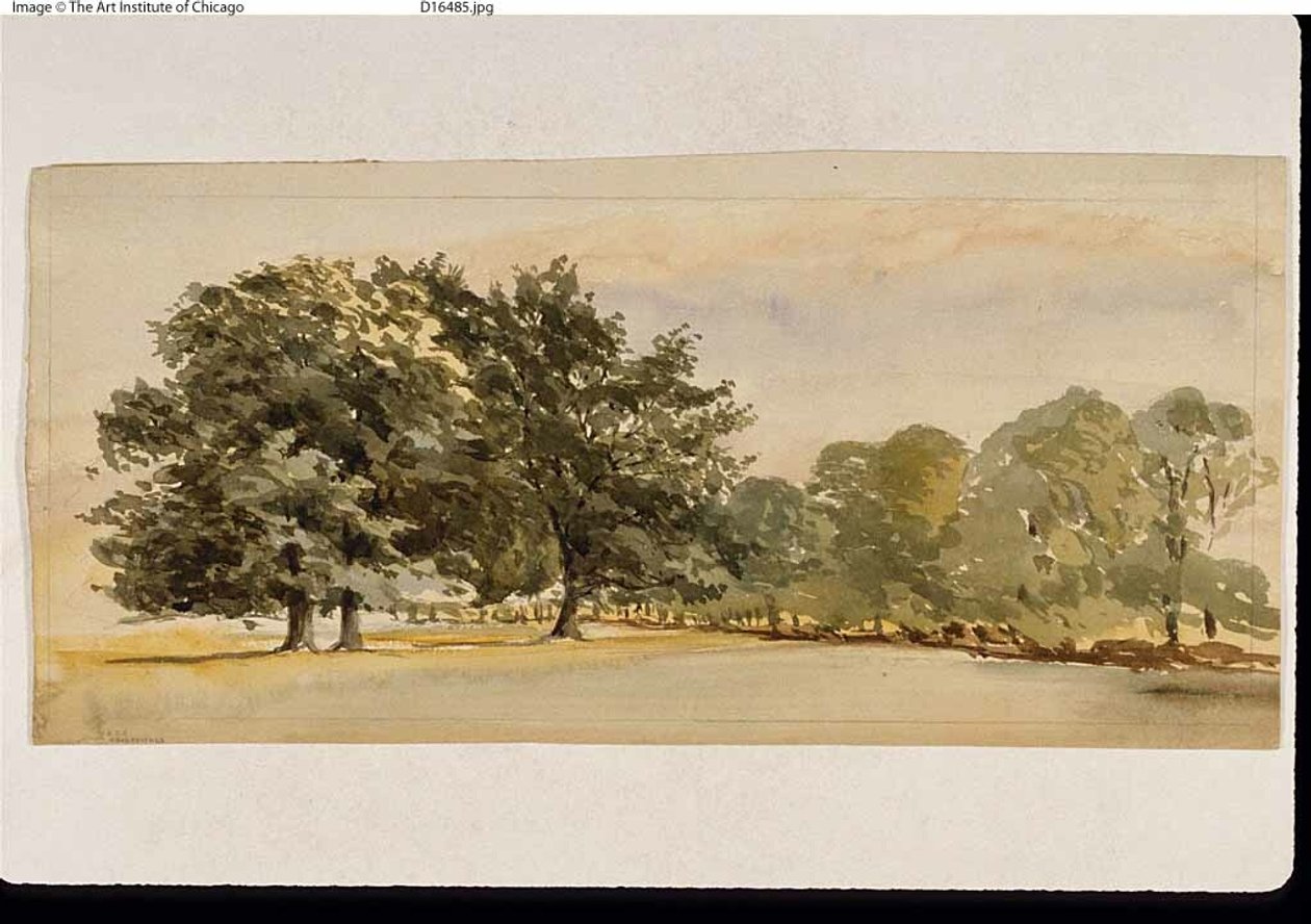 Panorama över en skogsdunge (recto); Landskap med skog till höger (verso) av Unknown artist