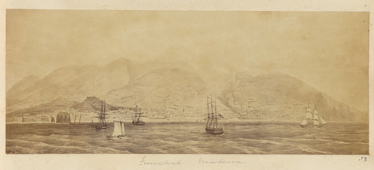 [Panorama över hamnen, Funchal, Madeira] av Unknown artist