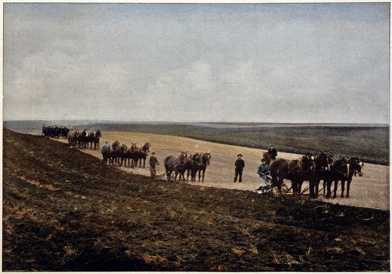 Plöjning i Manitobaslätten (Kanada), sent 1800-tal av Unknown artist