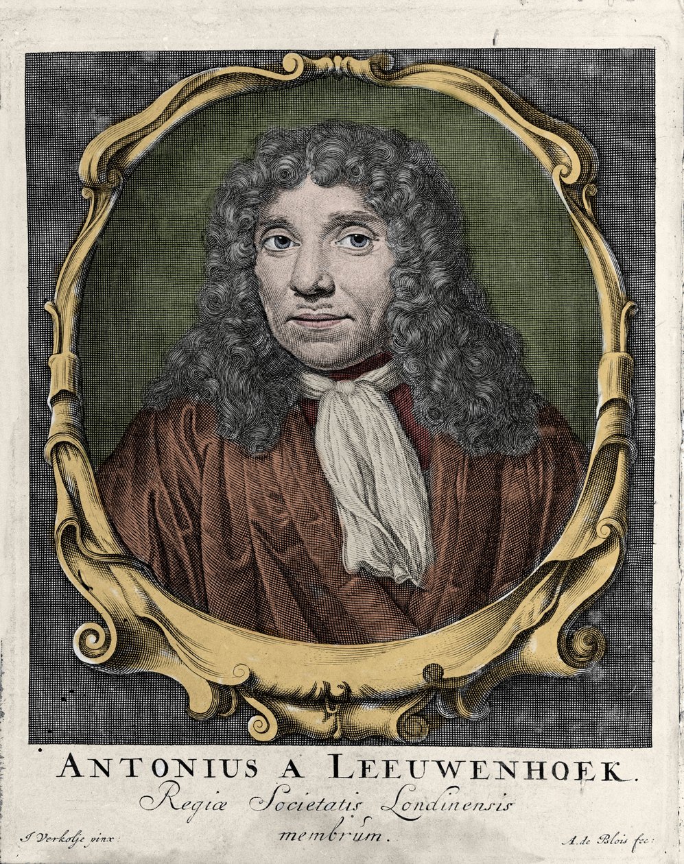 Porträtt av Antonie Van Leeuwenhoek eller Anton van Leeuwenhoek, eller Leeuwenhoek, eller Leeuwenhoeck. holländsk naturforskare (1632-1723). gravyr från 1722. av Unknown artist