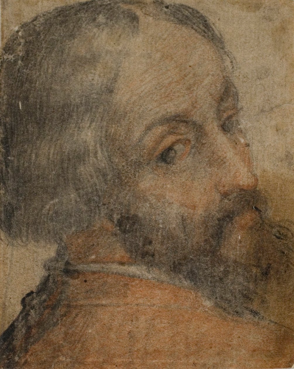 Porträtt av skäggig man (Lodovico Ariosto) av Unknown artist