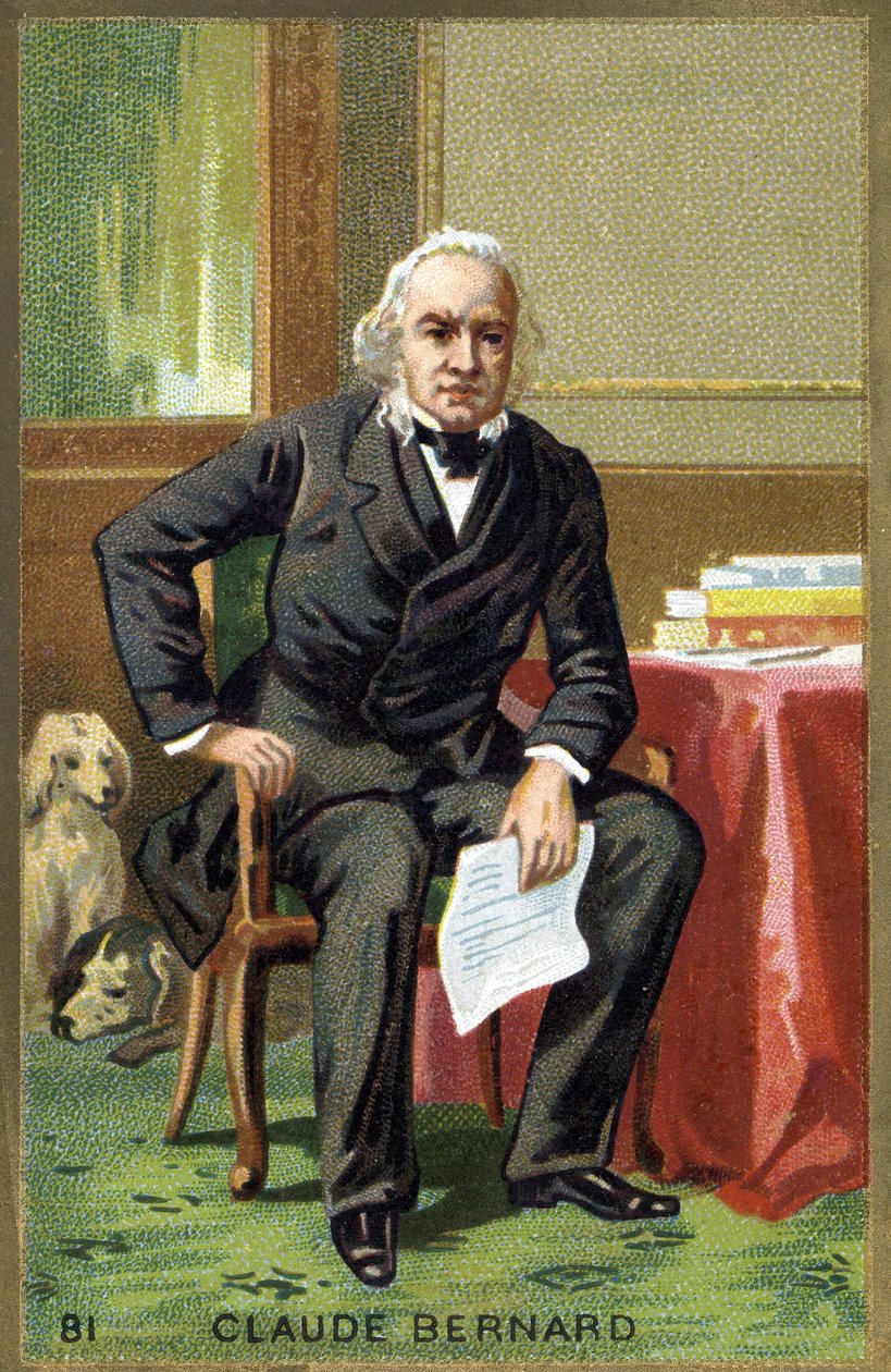 Porträtt av Claude Bernard (1813 - 1878), fransk fysiolog. Kromolitografi av 1800-talet. av Unknown artist