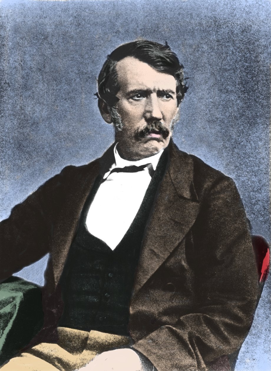 Porträtt av David Livingstone (1813-1873) skotsk missionär och upptäcktsresande. av Unknown artist