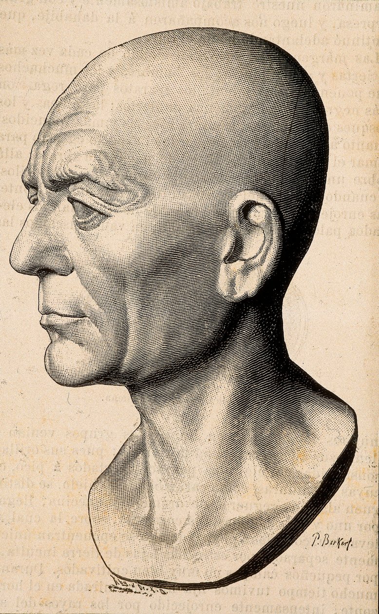 Porträtt av Publius Cornelius Scipio (Scipio den afrikanske) Africanus, romersk statsman (235-183 f.Kr.). av Unknown artist