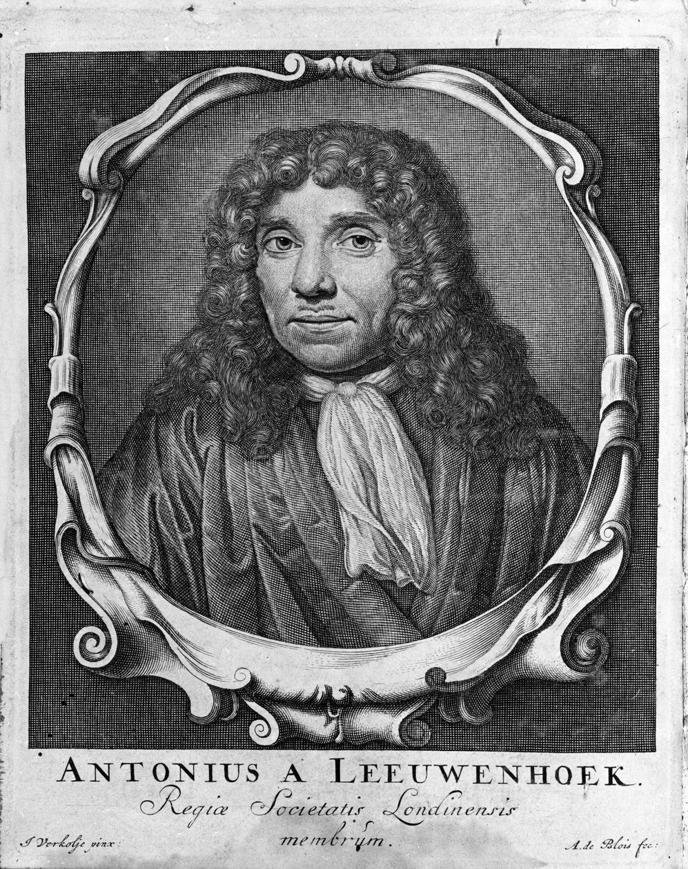 Porträtt av den holländska handlaren och forskaren Antoine van Leeuwenhoek (eller Leeuvenhoek Leeuwenhoeck) (eller Antoni eller Anthonie) (1632-1723) Gravyr från "Investigatio Arcanorum" 1722. av Unknown artist