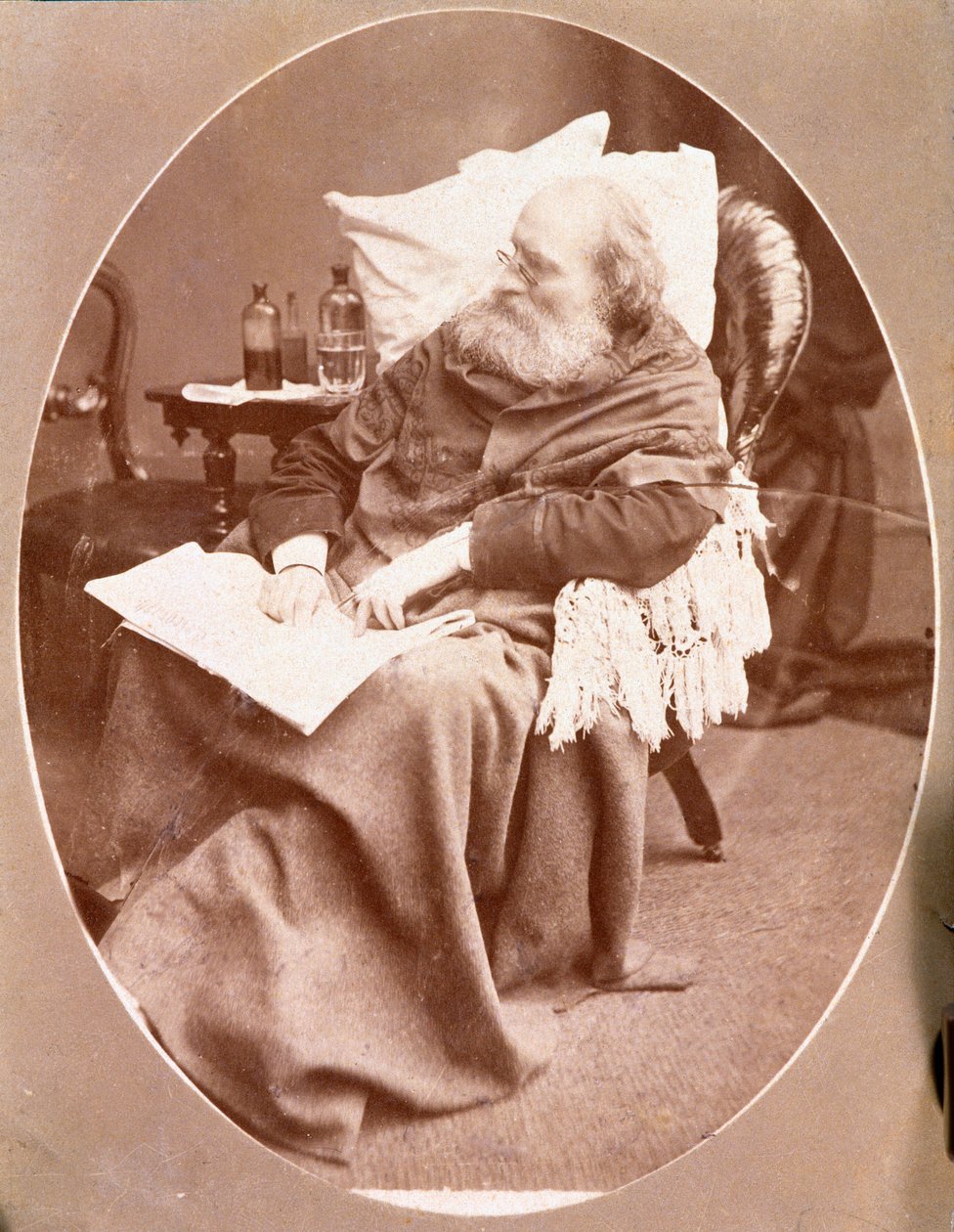 Porträtt av den italienska patrioten och hjältarna i Risorgimento Giuseppe Garibaldi (1807-1882) i Caprera 1882. Fotografi Privat samling av Unknown artist