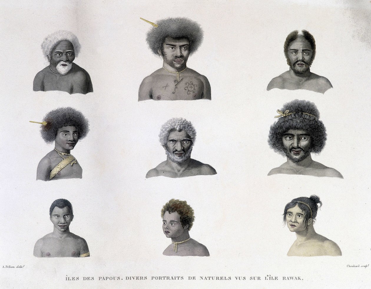 Porträtt av Papua från Rawak Island. av Unknown artist