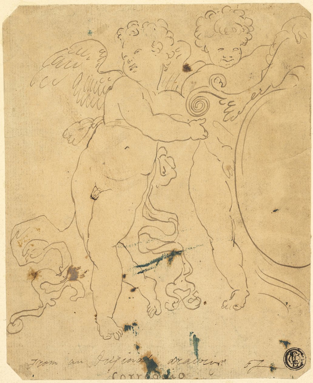 Putti med sköld av Unknown artist