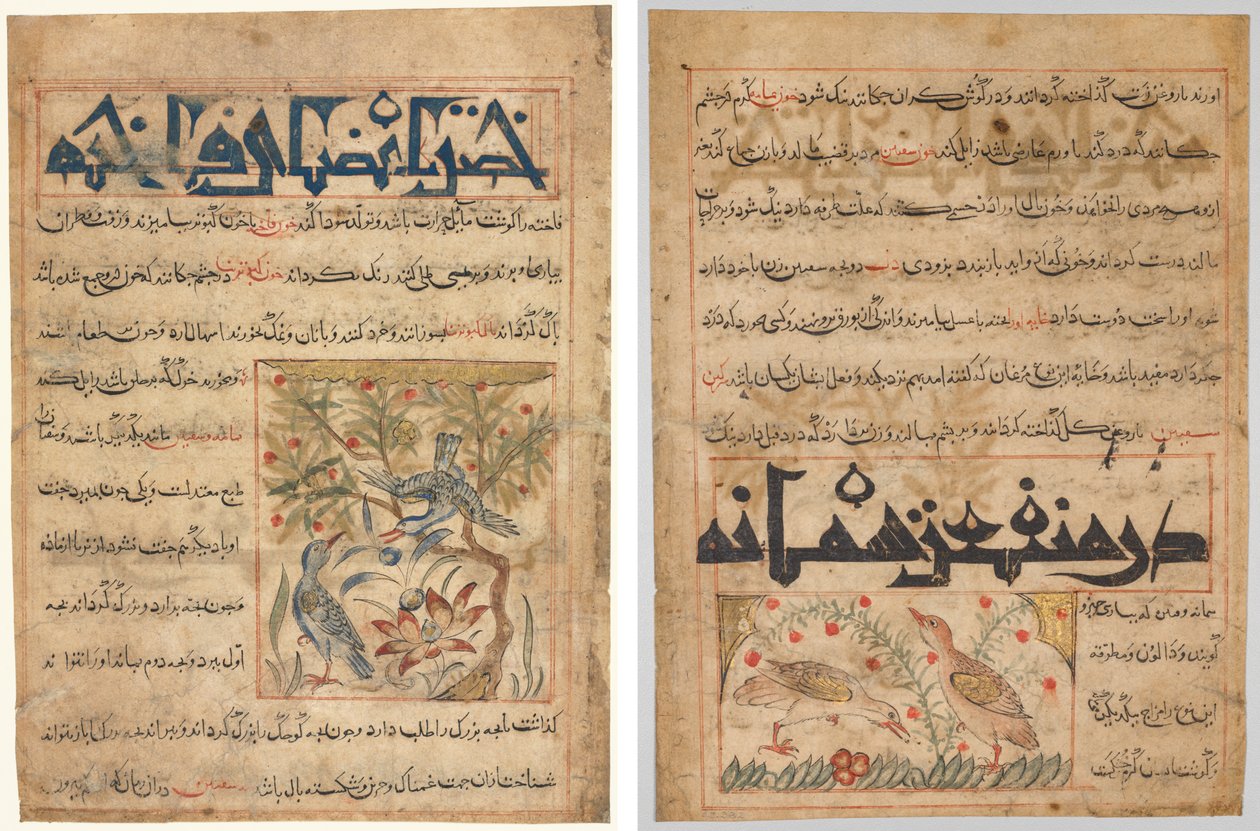 Kvaliteter hos Ringduvor (recto); On the Benefits of Quails (verso), från en persisk Manafi‘ al-Hayawan (The Benefits of Animals) från Abu Said Ubaid-Allah ibn Jibrail ibn Bakhtishu (död 1058–68) av Unknown artist