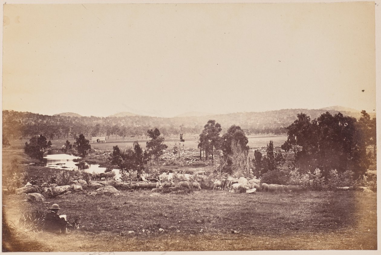 Rangers Valley, nordöstra delen, Glen Innes av Unknown artist