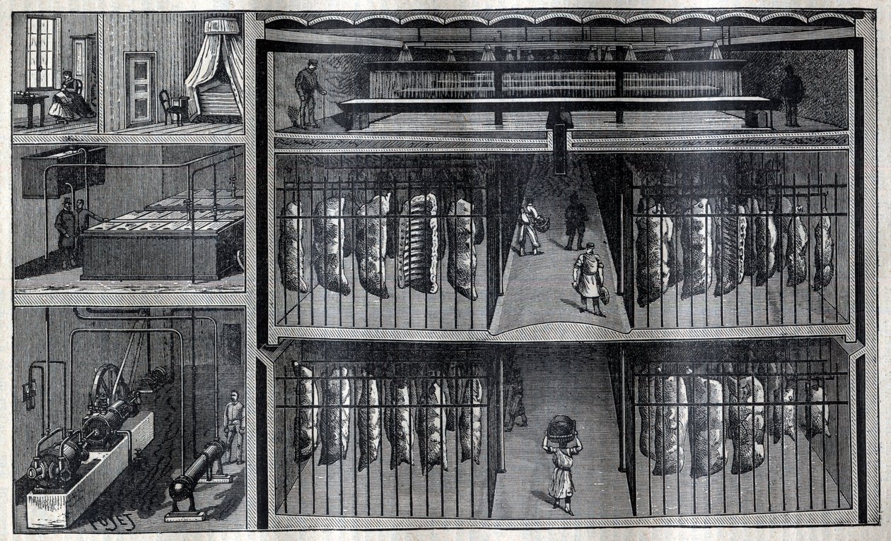 Kylförråd för kött - Gravyr från "La Science francaise"" av Unknown artist
