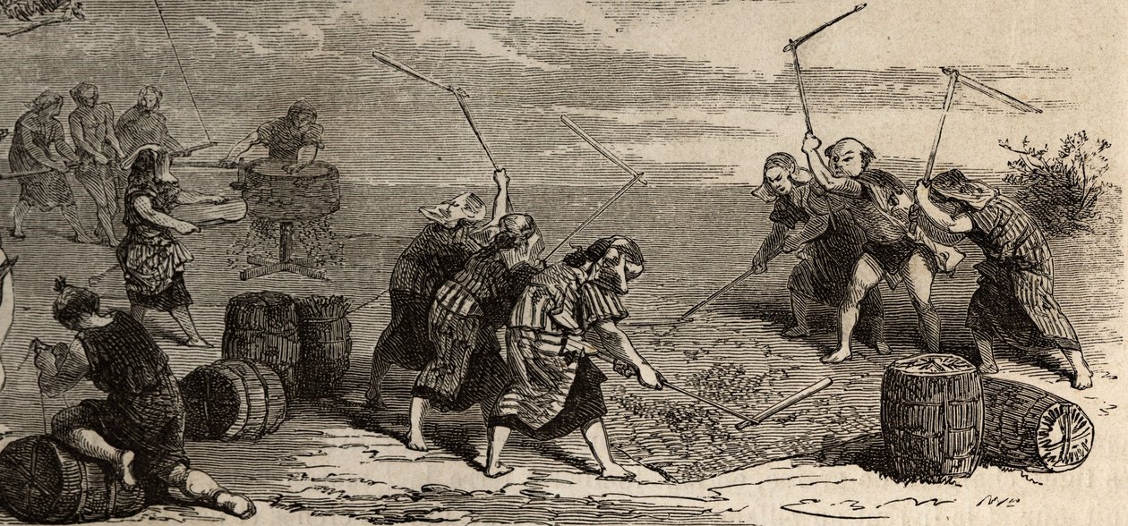 Risodling: sista steget, med hjälp av blomman och kvarnen, separeras riskornen från sin stjälk och skal, förvaras sedan försiktigt i lådor med flätat halm. Gravyr för att illustrera resan till Japan 1863-1864, av Aime Humbert, minister av Unknown artist