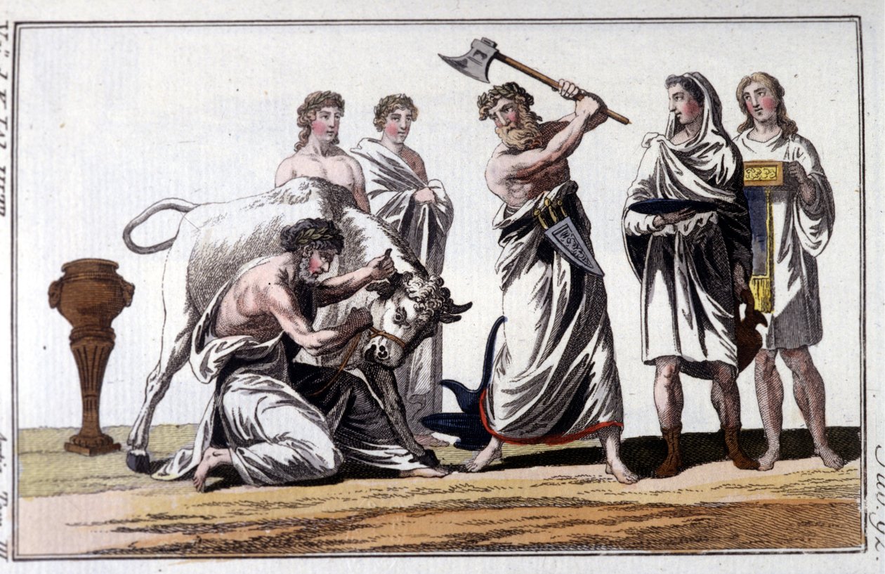 Offer av en tjur bland kelterna. 1800-talsgravyr. av Unknown artist