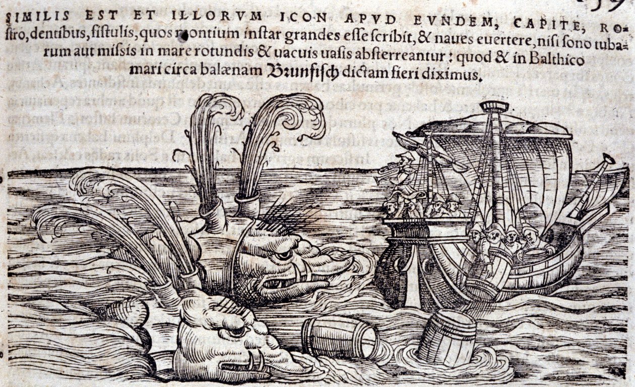 Sjömän kastar tunnor i havet för att distrahera monster i jakten. Gravyr i "Historia Animalium" av Conrad Gesner (1516-1565), Tiguri av Unknown artist