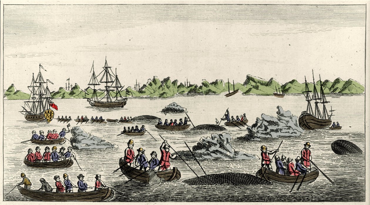 Scen för valfiske på Grönland på 1700-talet, anonymt populärtryck från perioden av Unknown artist