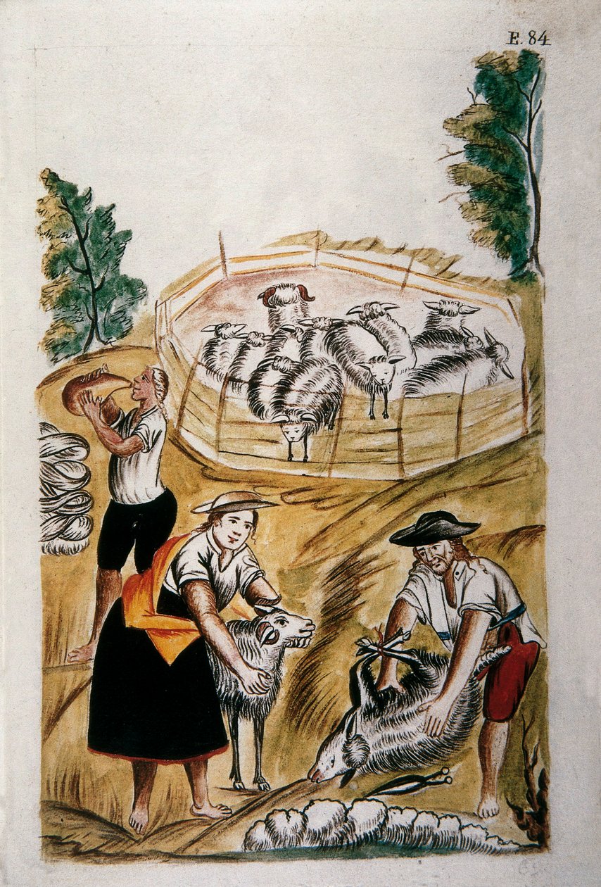 Fårklippning, från boken "Trujillo of Peru" eller "Codex Martinez Companion", av Baltazar Martinez Companion och Bujanda, biskop av Trujillo (1782-1785) av Unknown artist