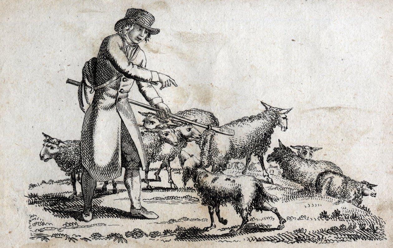 Herde med sin fårhjord. Gravyr sent 1700-tal. Privat samling. av Unknown artist