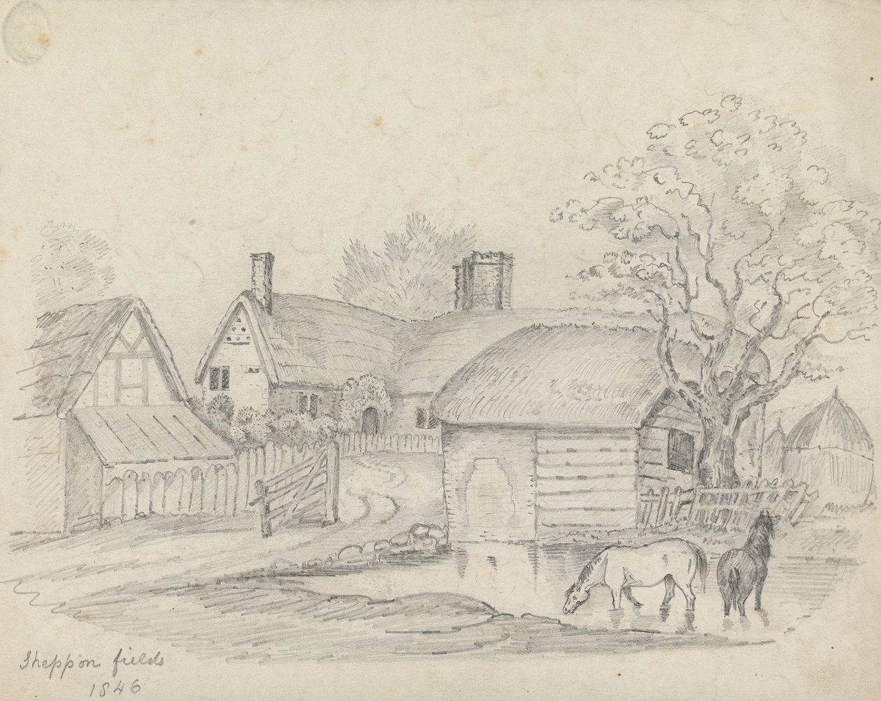 "Sheppon Fields" av Unknown artist