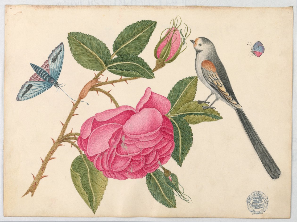 Liten svart-vit fågel på rosenblad med blommor och fjärilar av Unknown artist