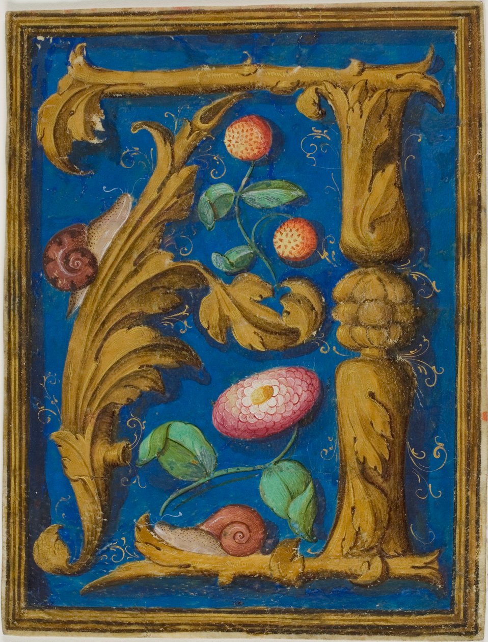 Sniglar, jordgubbar och en blomma i ett dekorerat initialt "A" från ett manuskript av Unknown artist