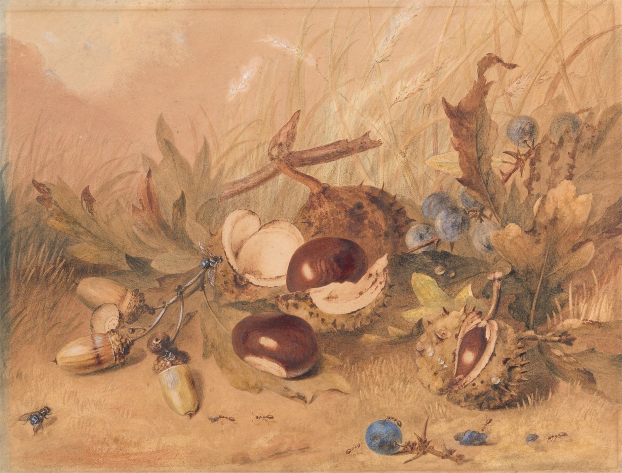 Stilleben med ekollon och hästkastanjer av Unknown artist