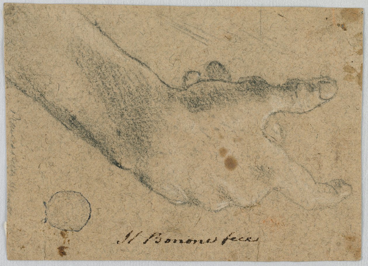 Studie: En högerhand av Unknown artist