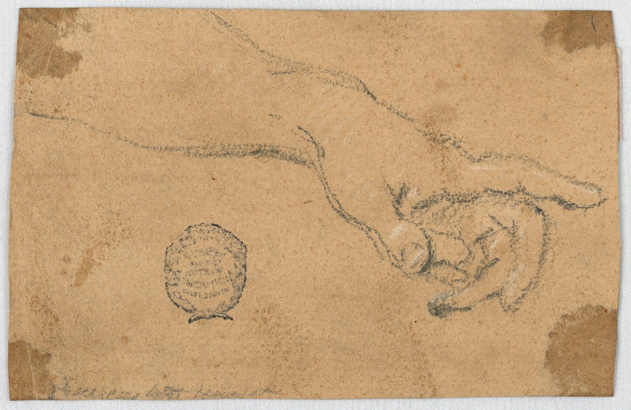 Studie: En utsträckt vänster underarm och hand av Unknown artist