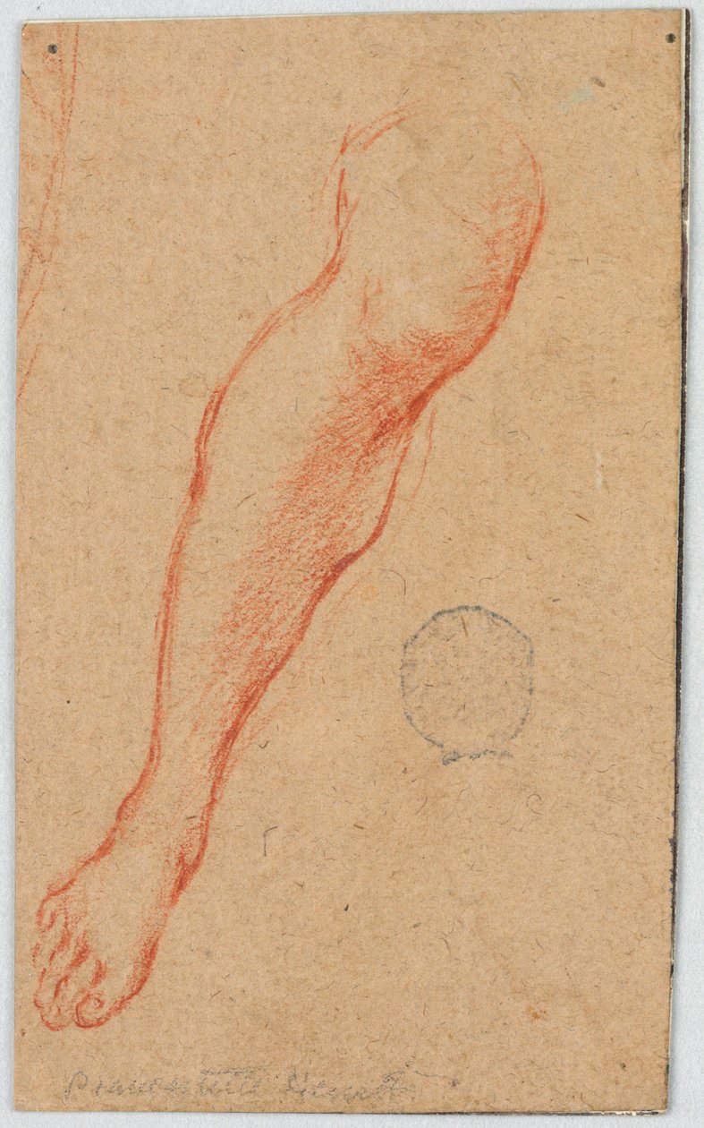 Studie för höger ben på en sittande kvinna av Unknown artist