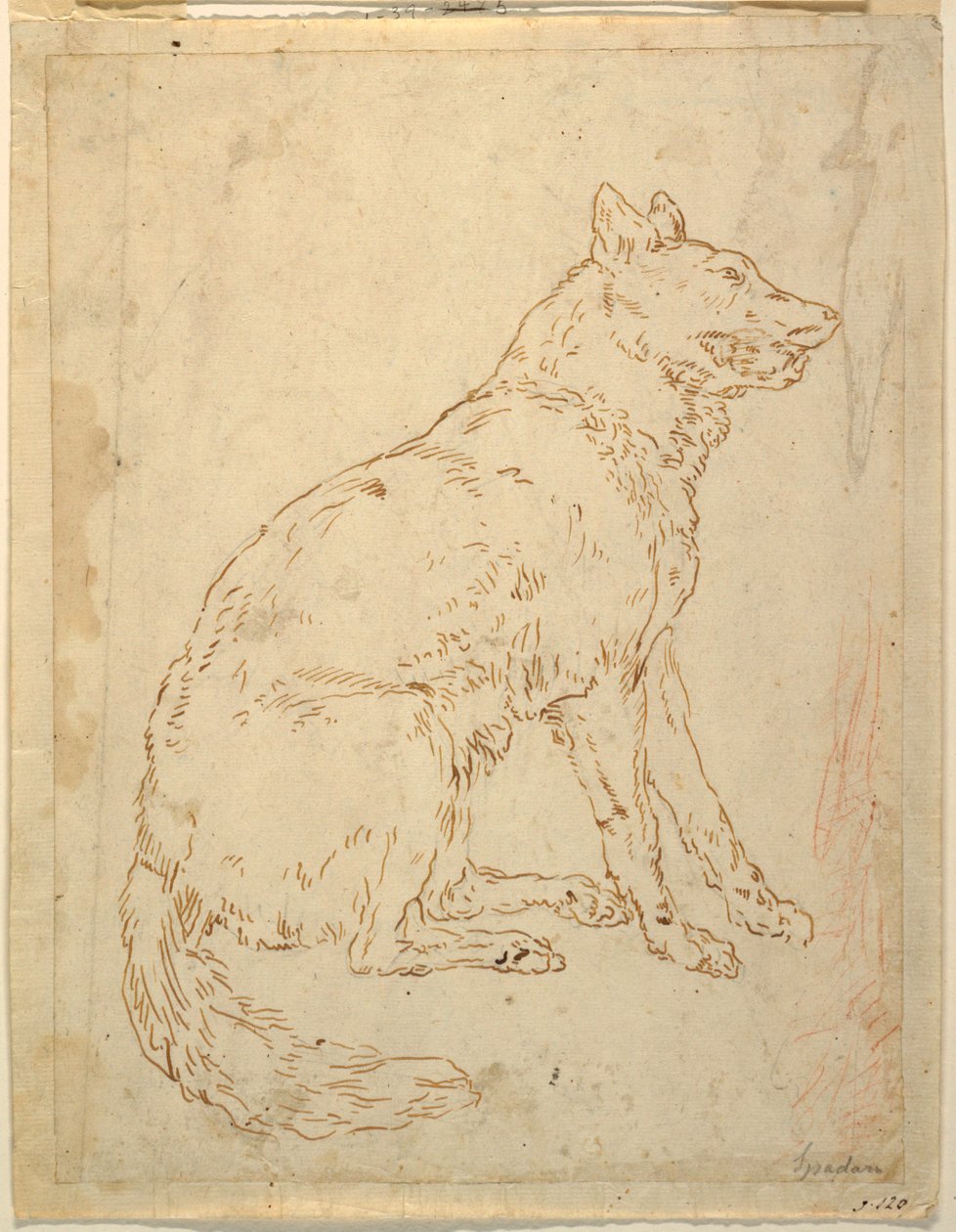 Studie av en fårhund av Unknown artist