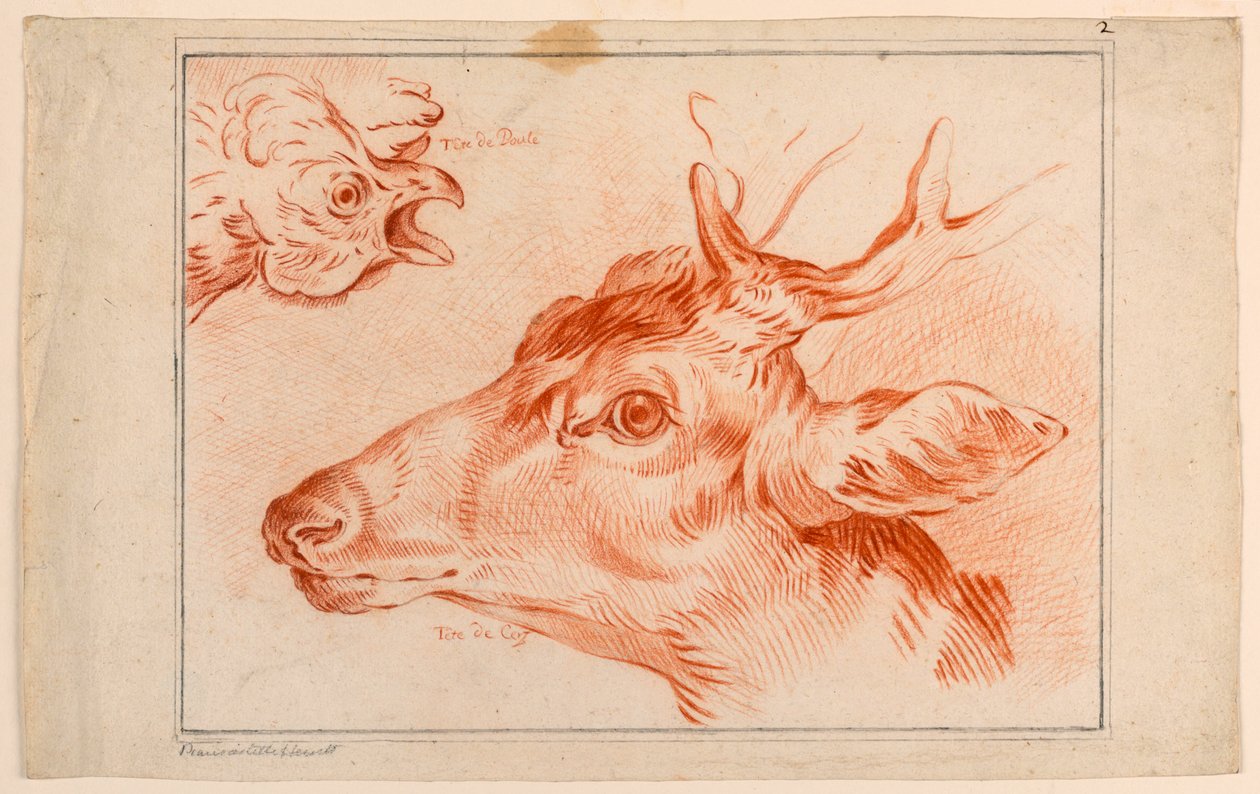 Studie av huvuden på en kyckling och hjort av Unknown artist