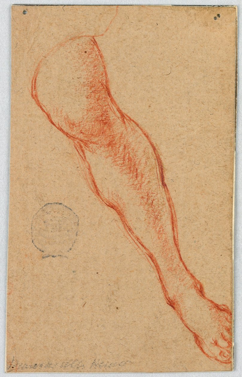 Studie av en sittande kvinnas vänstra ben av Unknown artist