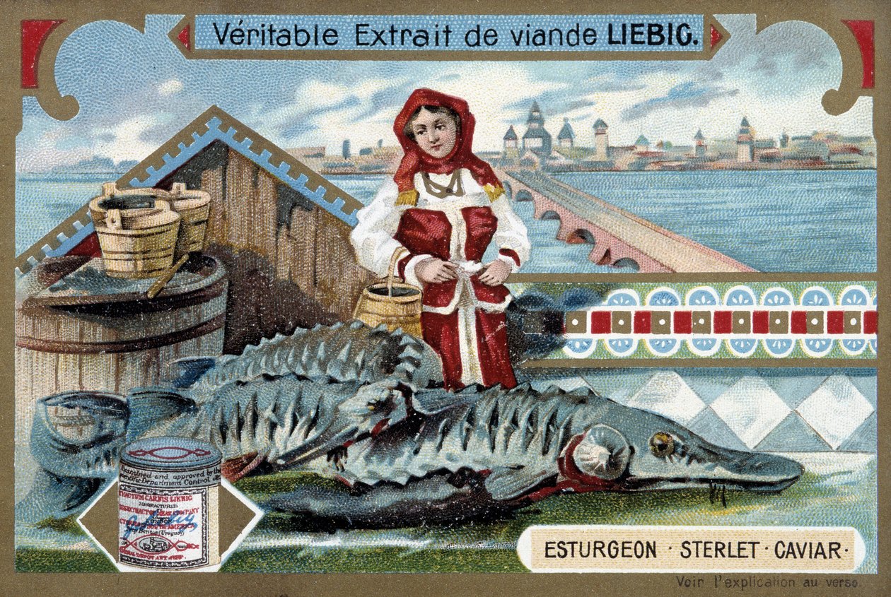 Stör, sterlet, kaviar, med en ung kvinna som håller i hinkar, framför en rysk stad - Liebig-kromolitografi av Unknown artist