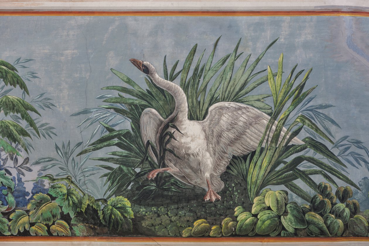 swedish av Unknown artist