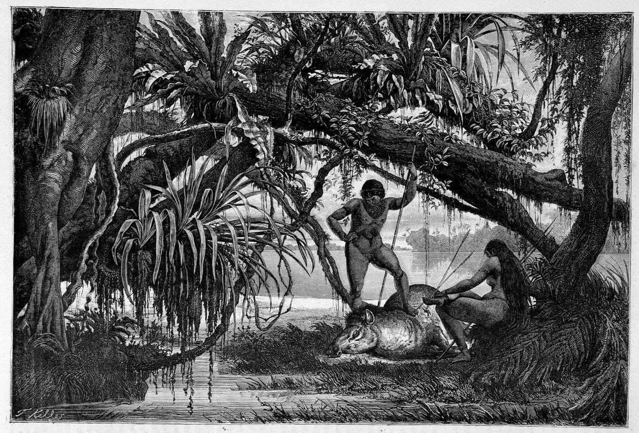 Tapir dödad av indianer i Brasilien - i "" Jorden runt"" andra halvåret 1874. av Unknown artist