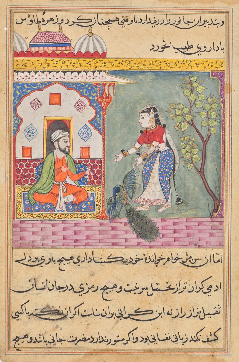 Brahmanens fru som dödade en påfågel och åt dess gallblåsa på läkarens råd, från en Tuti-nama (Sagor om en papegoja): Nittonde natten av Unknown artist