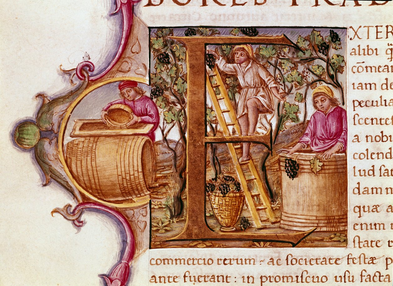 Skördebrevet för manuskriptet "" Natural History"" av den romerske författaren och naturforskaren Plinius den äldre (23-79 e.Kr.) 1400-talets Venedig Biblioteca Marciana av Unknown artist