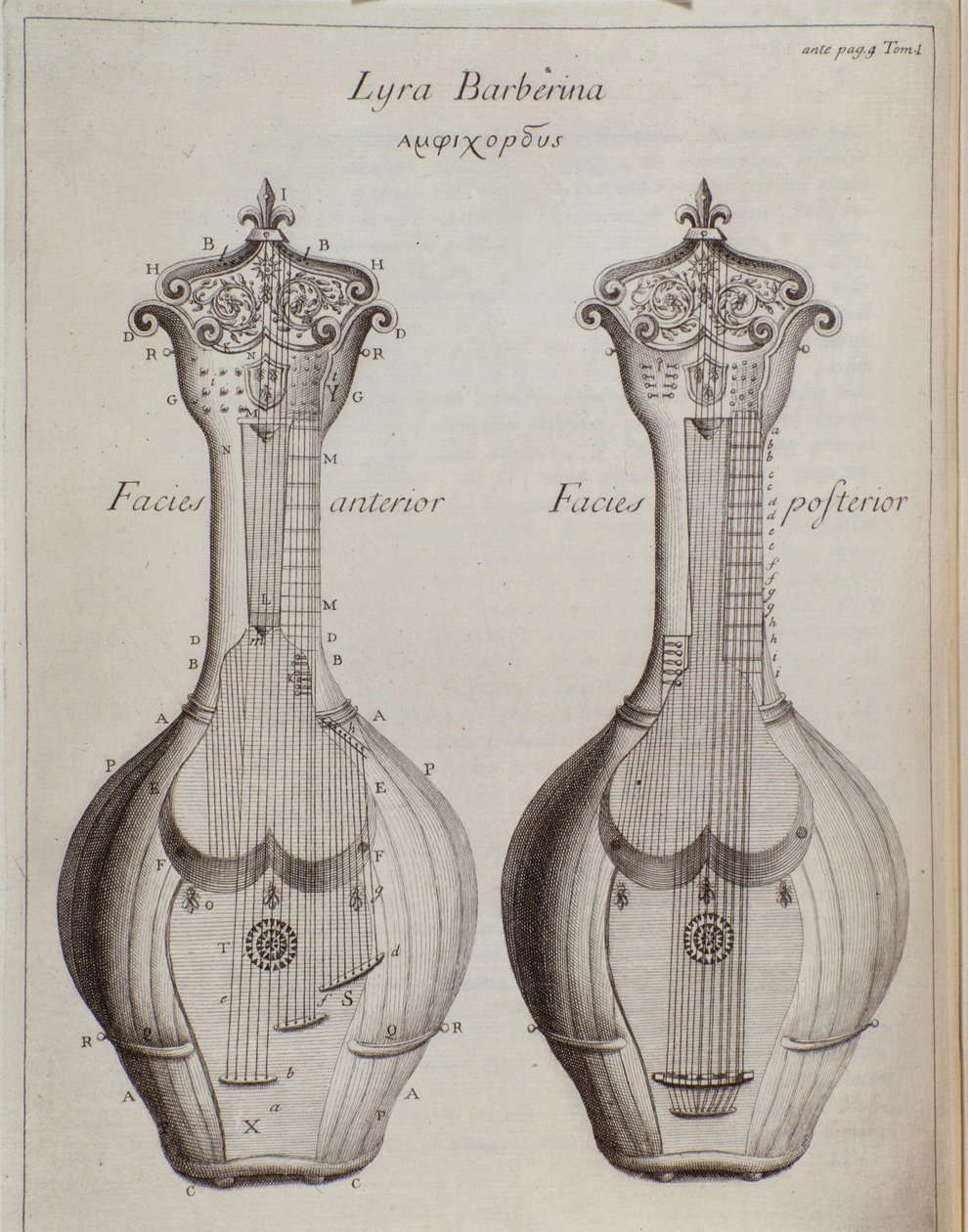 Lyra Barberina (gravyr av Unknown artist