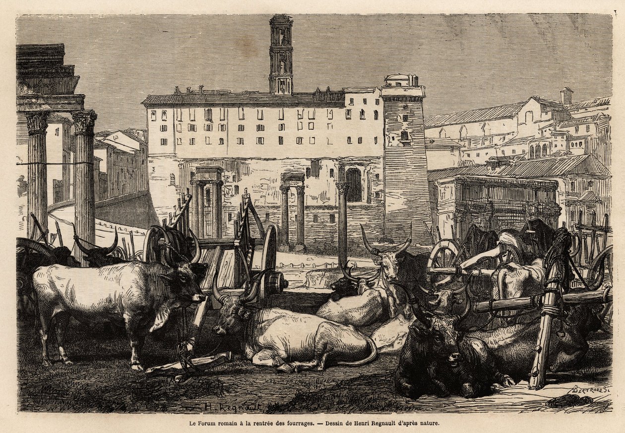 Forum Romanum har arrenden av foder, oxarna ligger mitt bland kärror och forntida ruiner. Engravure pour illustrrer le voyage à Rome, av Francis Wey, 1864-1868, publicerad i "" Le tour du monde""" 1869, redigerad av Edouard Charton, upplaga Hachette, av Unknown artist