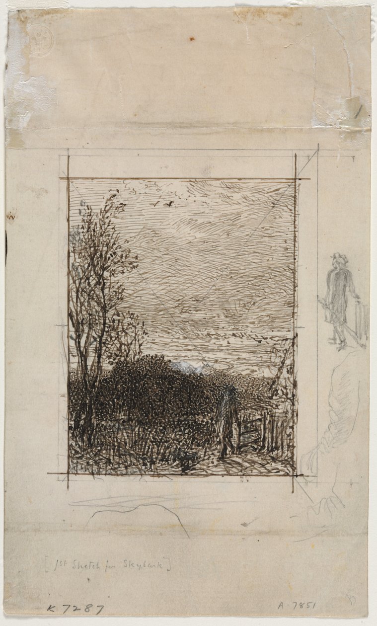 Skyläran av Unknown artist