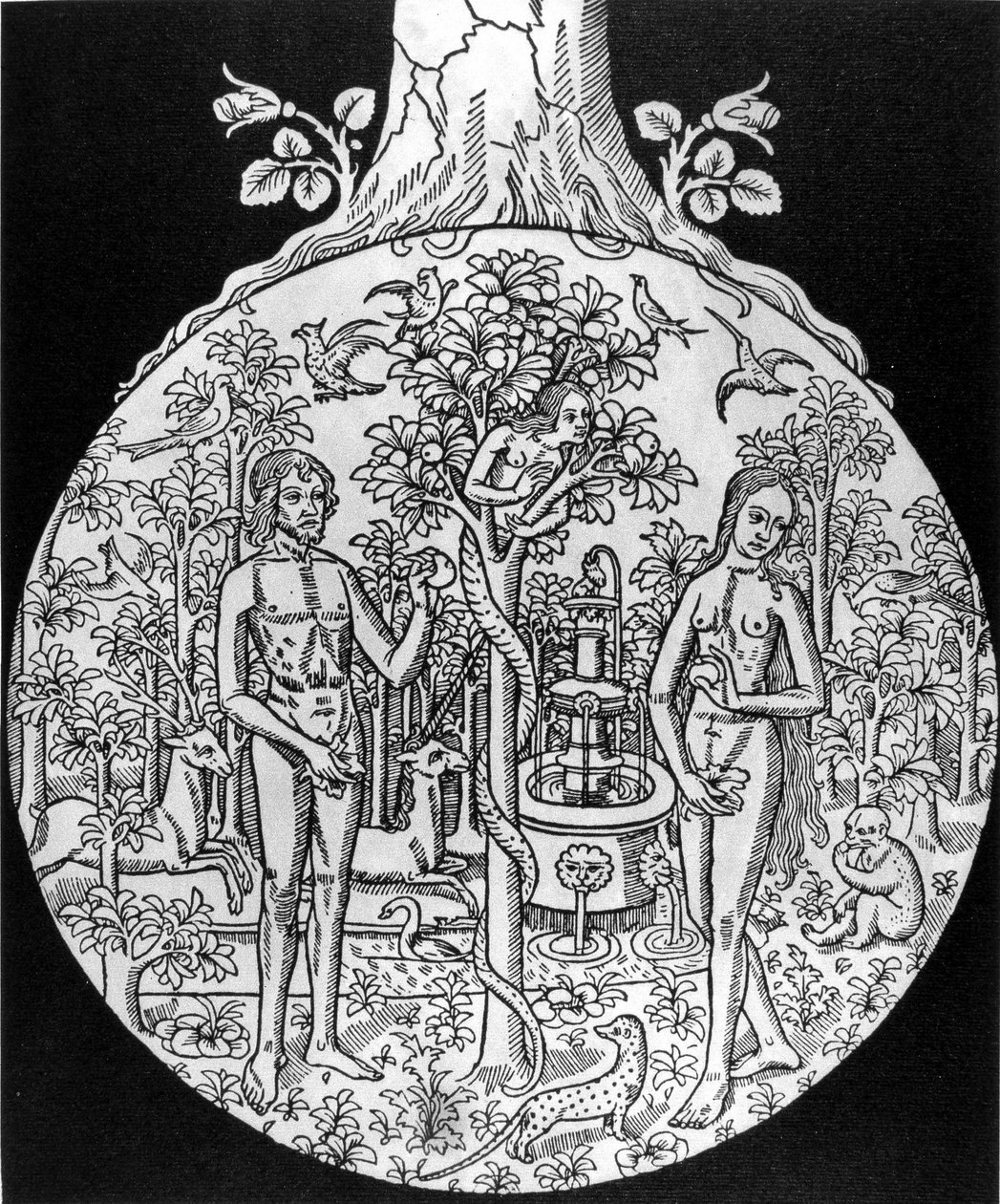 Vetenskapens träd (Adam och Eva i paradiset) - gravyr, deb. 1500-talet, i "" L