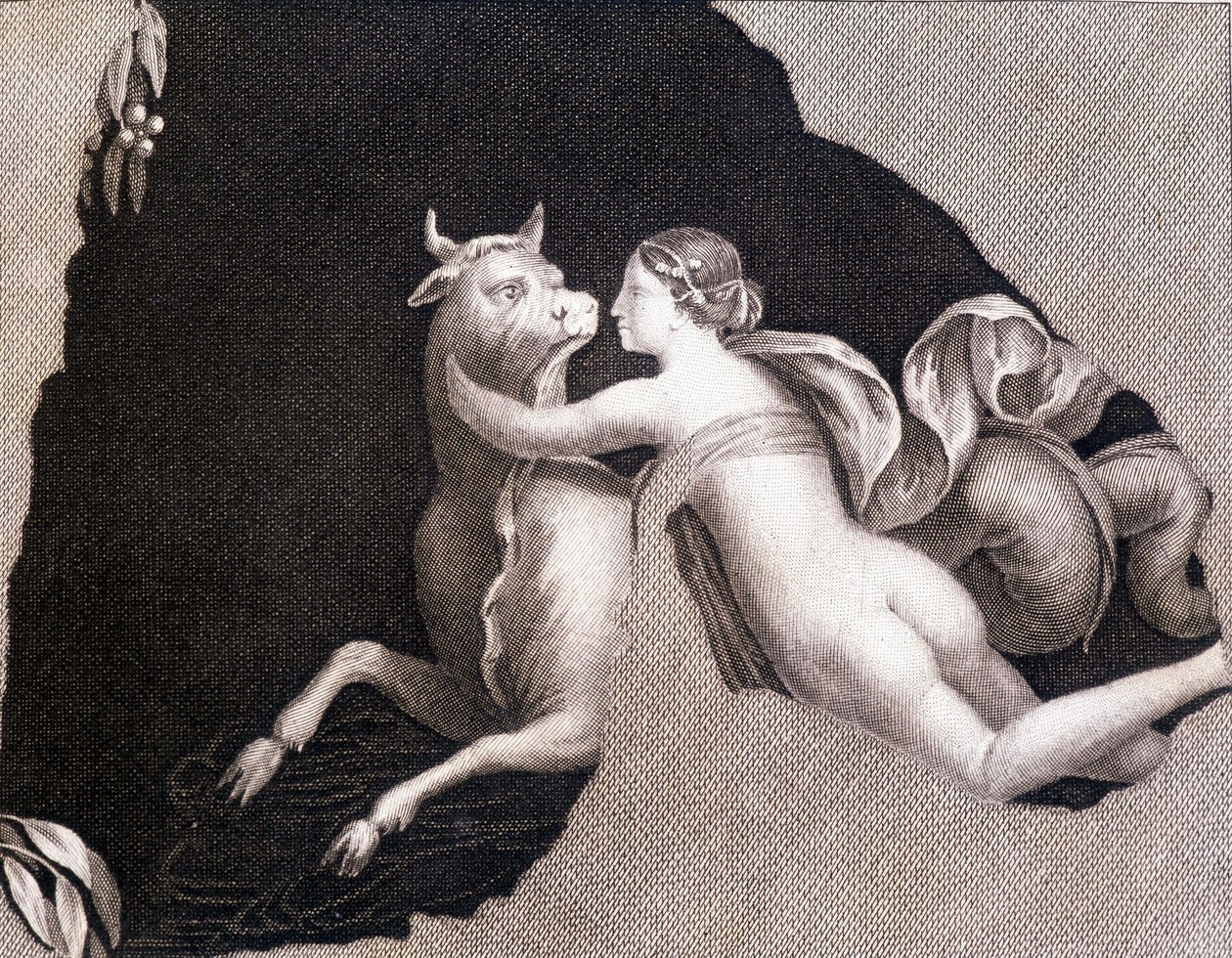 Bortförandet av Europa - gravyr av Unknown artist