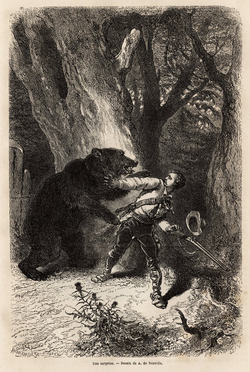 Författaren, under en utflykt runt Jacksonville, överraskas i skogen av en inhemsk björn och kedja. Gravyr för att illustrera berättelsen fyra månader i Florida, av Achille Pousselgue 1851-1852, publicerad i "" Le tour du monde"" 1870-1871, redigerad av Unknown artist