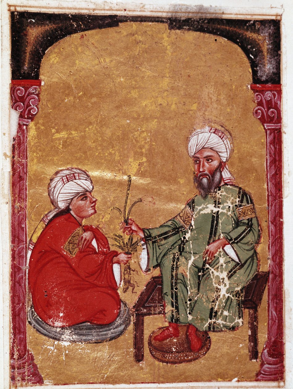 Läkaren och botanikern Pedanius Dioscoride (Pedanius Dioscorides) (40-90 e.Kr.) sitter med en av sina elever Miniatyr från hans avhandling "De materia medica"" (ms Ahmed III, 2147, folio 217a) 1229 Topkapi Sarayi Museum Library, Istanbul av Unknown artist
