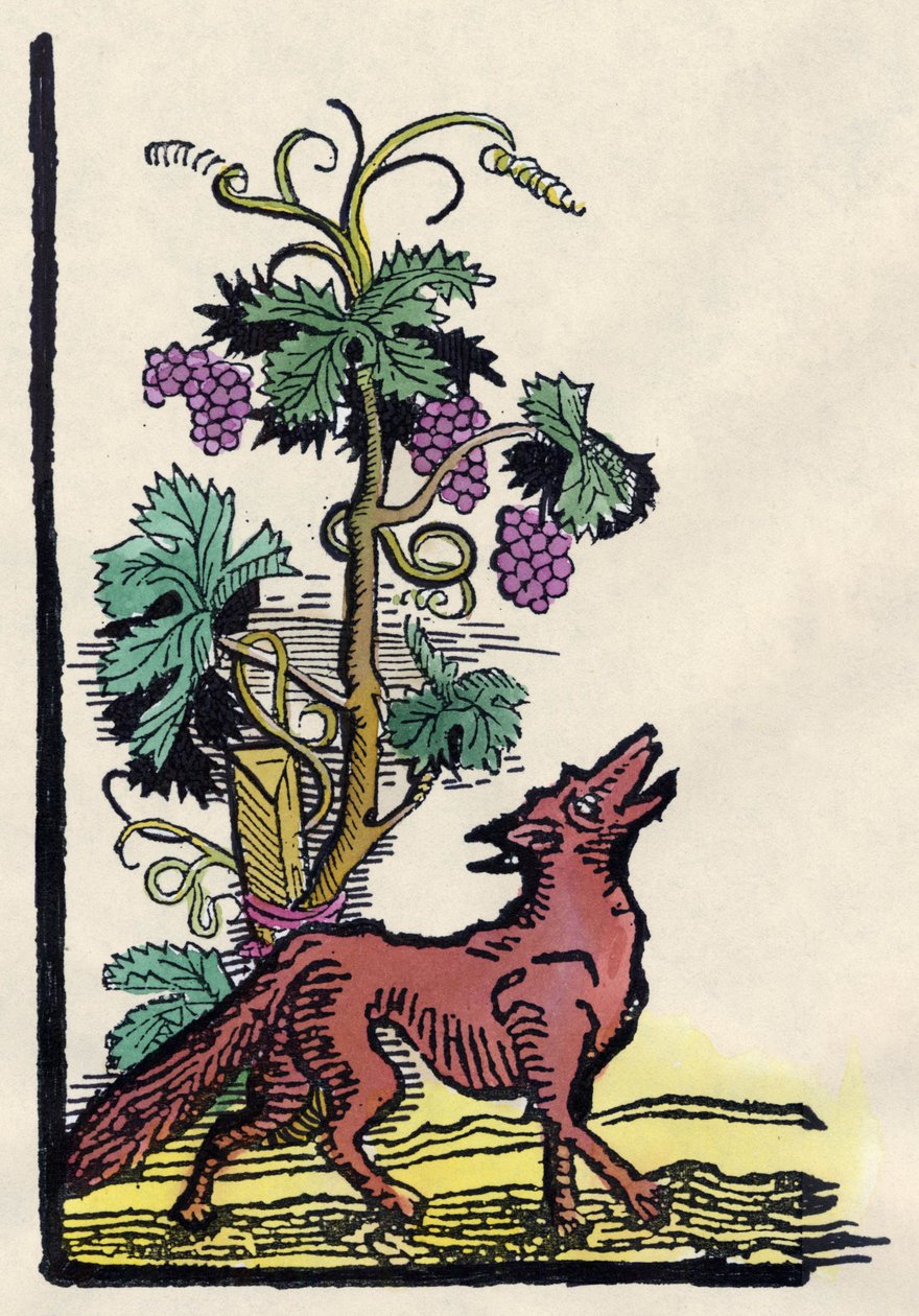 Räven och druvorna. Fable of Asope (gravyr från 1700-talet) av Unknown artist