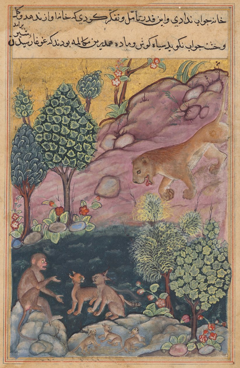 Lejonet återvänder till sitt territorium och ser apan samtala med lodjuret, från en Tuti-nama (Berättelser om en papegoja): Twenty-ninth Night av Unknown artist