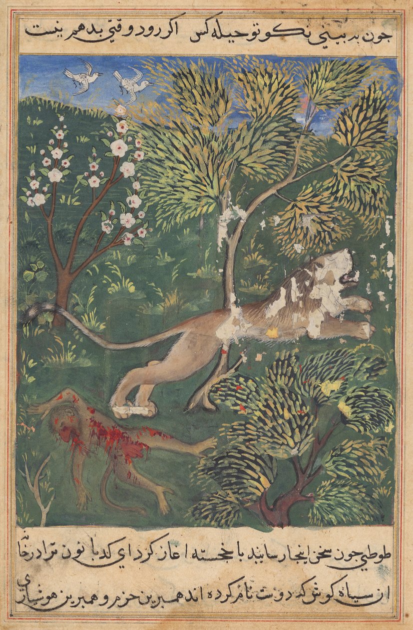 Lejonet, som misstänker förräderi från apans sida, dödar honom och flyr, från en Tuti-nama (Berättelser om en papegoja): Twenty-ninth Night av Unknown artist