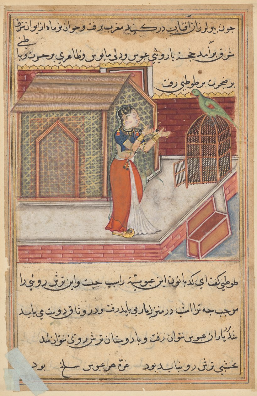 Papegojan tilltalar Khujasta i början av den fyrtionionde natten, från en Tuti-nama (Berättelser om en papegoja): Forty-ninth Night av Unknown artist