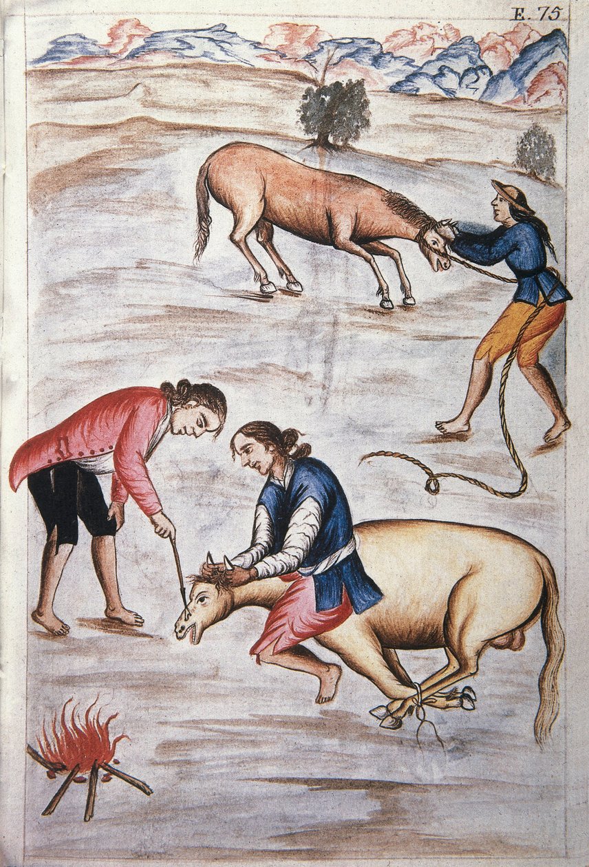 Den röda järnmärkningen av ett sto, från boken "Trujillo del Peru" eller "Codex Martinez Companion", av Baltazar Martinez Companion och Bujanda, biskop av Trujillo (1782-1785) av Unknown artist