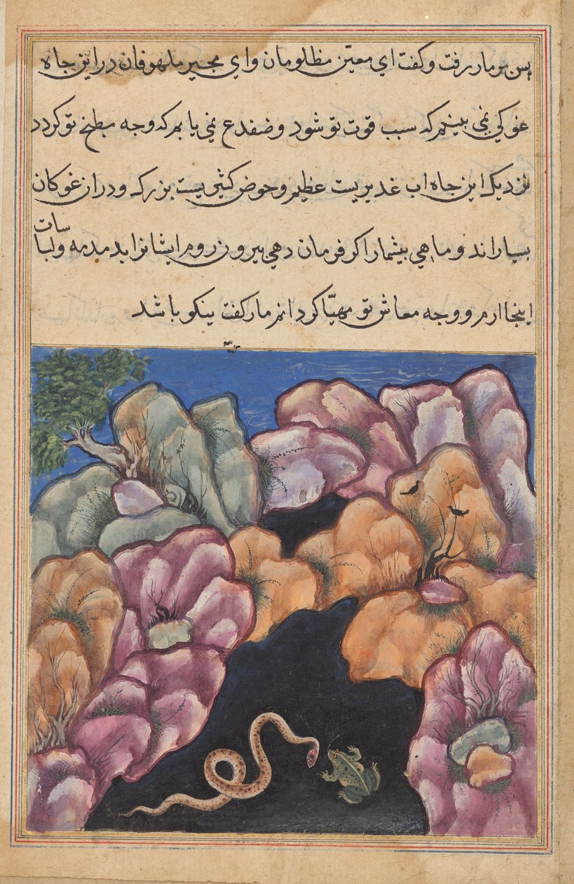 Ormen inleder ett argument med grodan, från en Tuti-nama (Berättelser om en papegoja): Twenty-sixth Night av Unknown artist